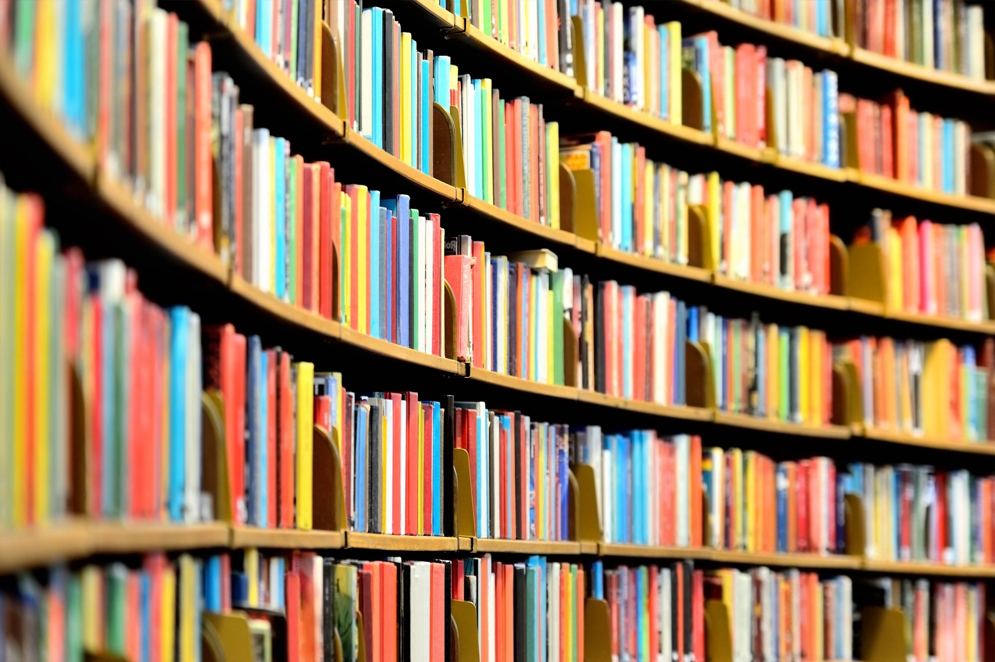 Bookshelves filled with books