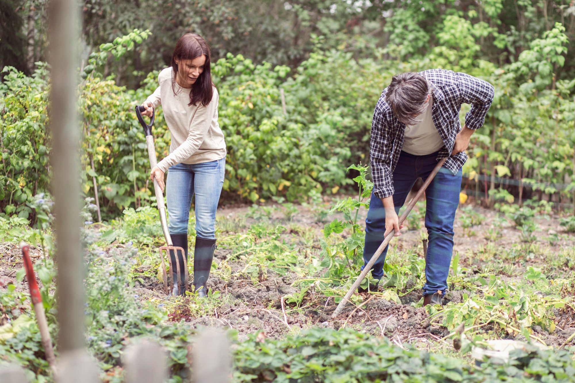 Couple volunteering at a garden