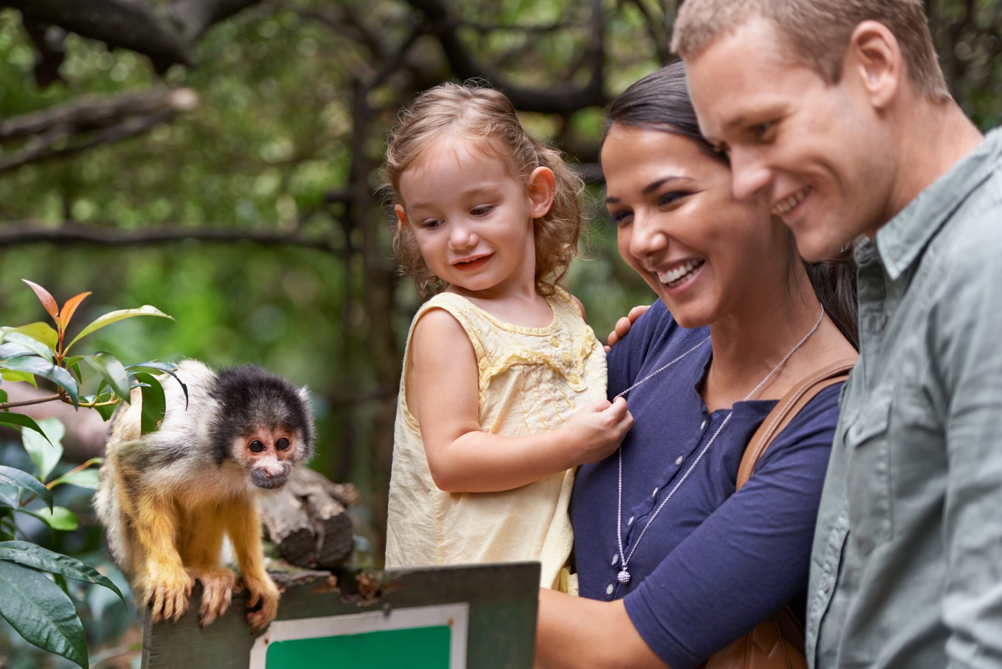 Family visiting the zoo