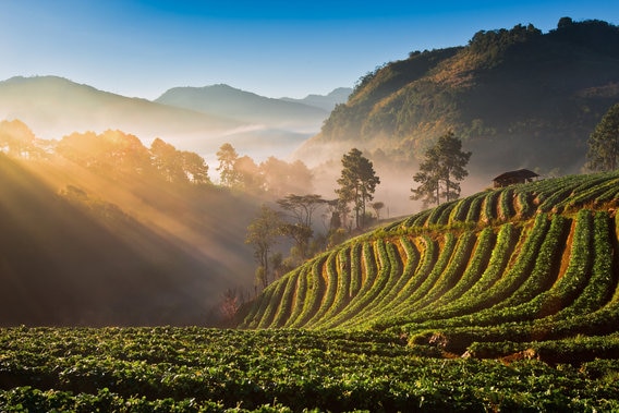 mountains landscape