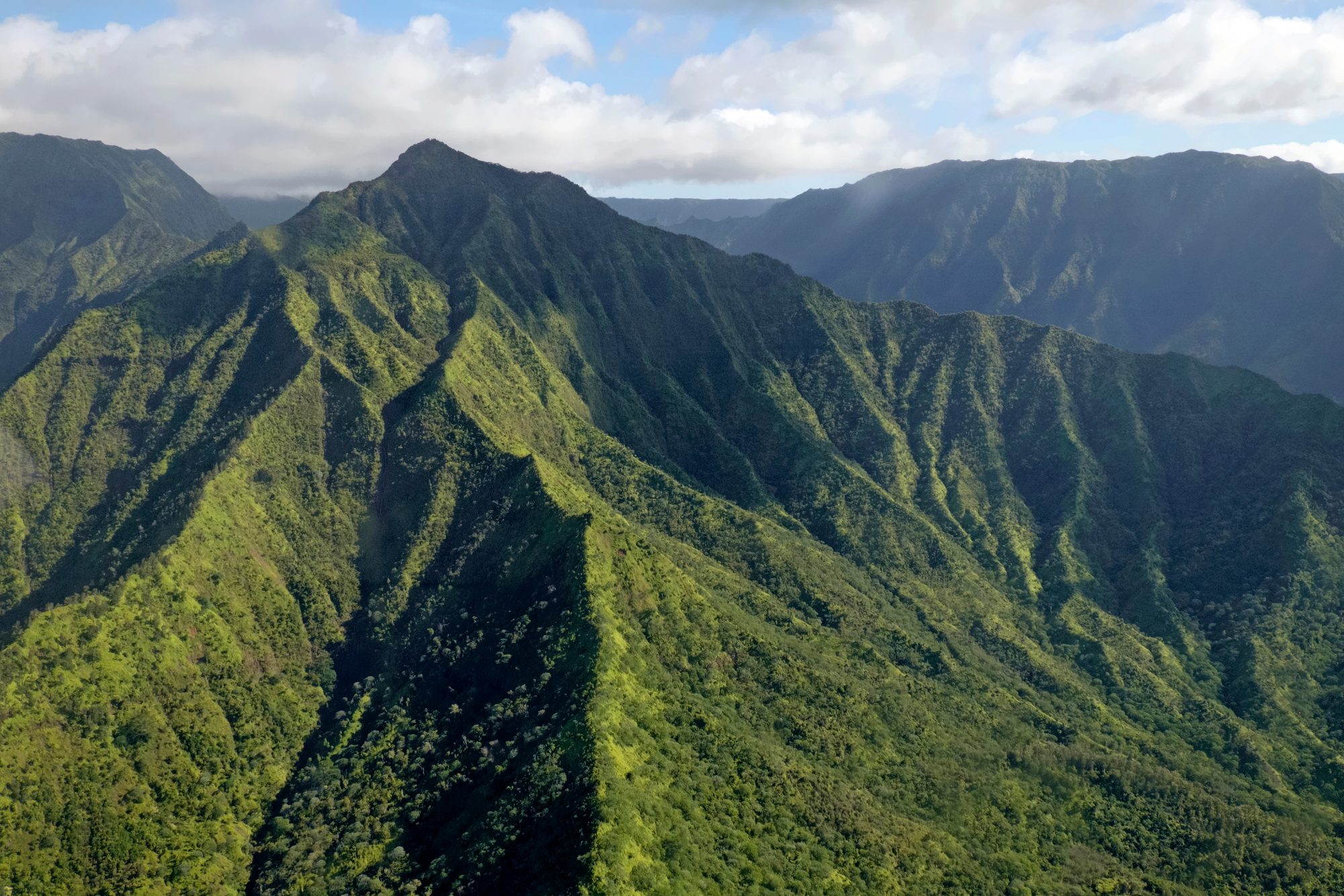 Green rugged mountain top