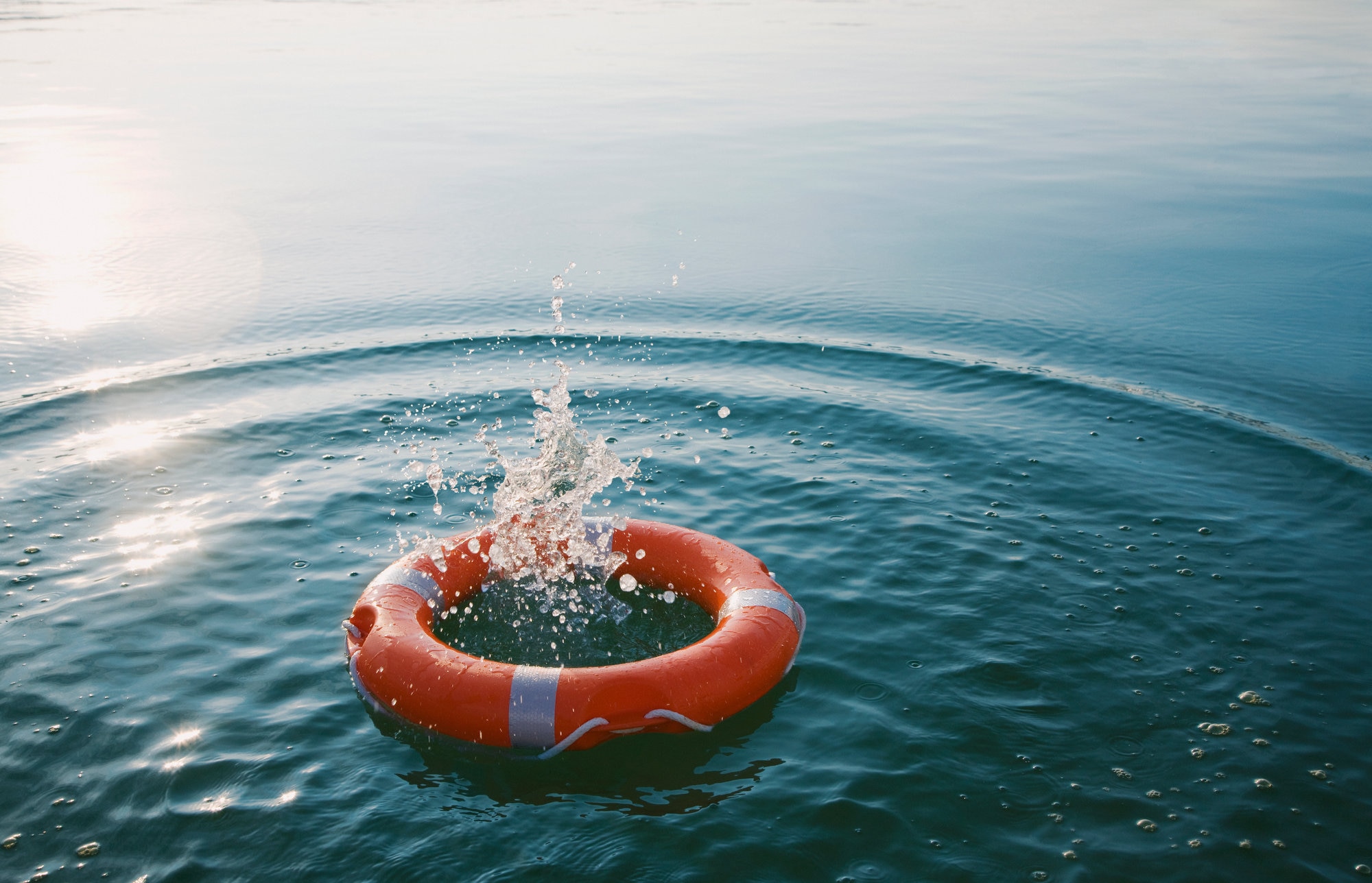 Lifesaver floating in the water