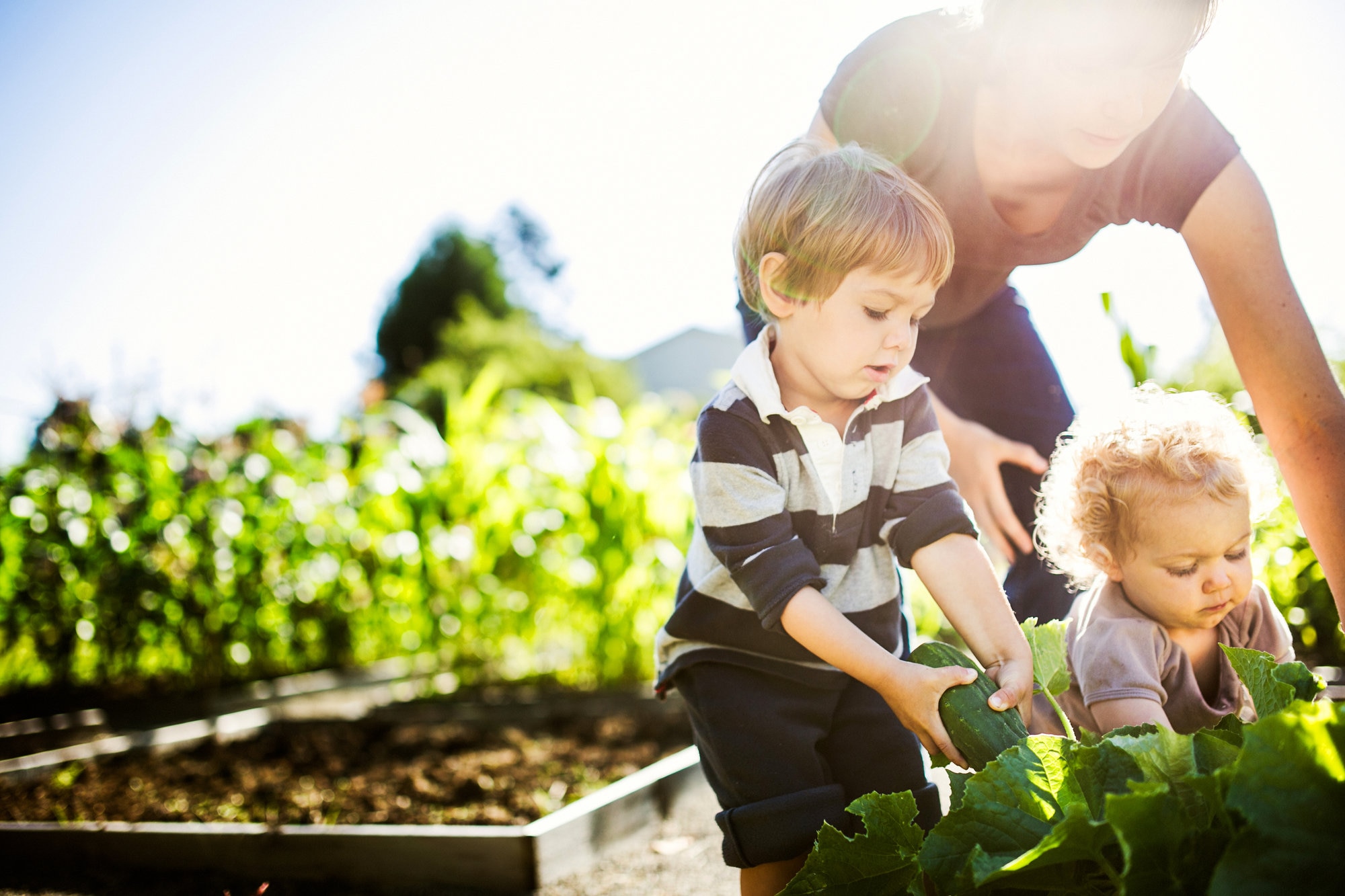 engaging kids in charity work