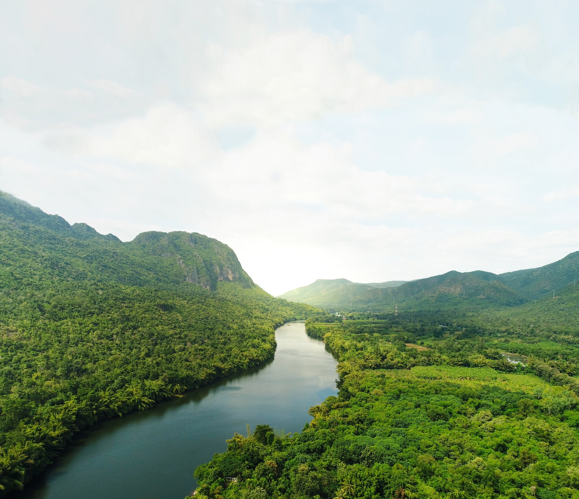 Rainforest river