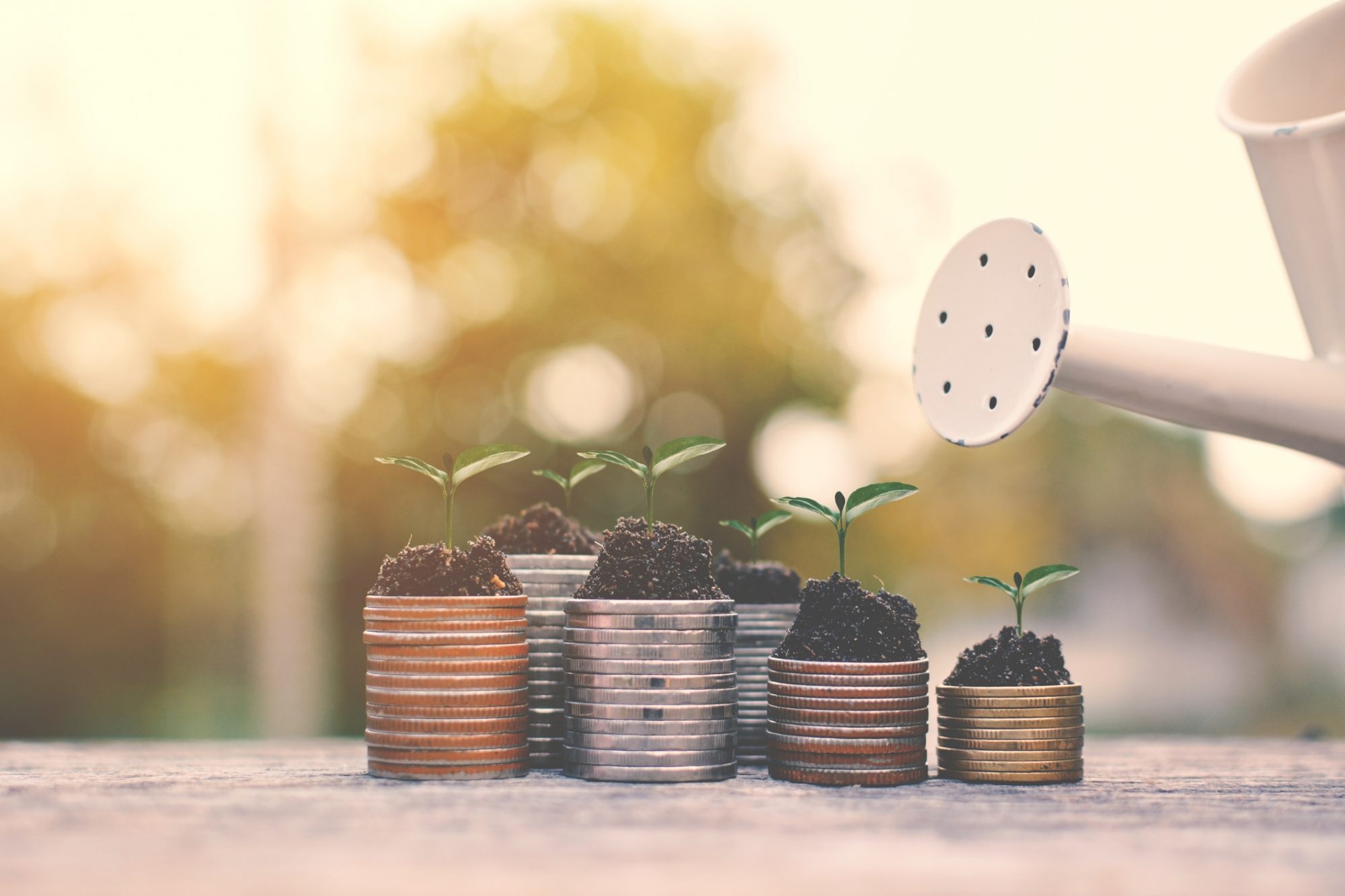 Growing saplings on stack of coins