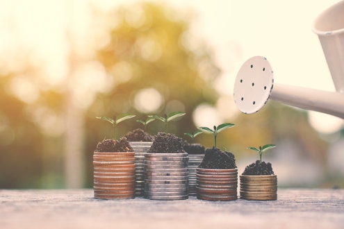 Seedlings growing on stacked coins