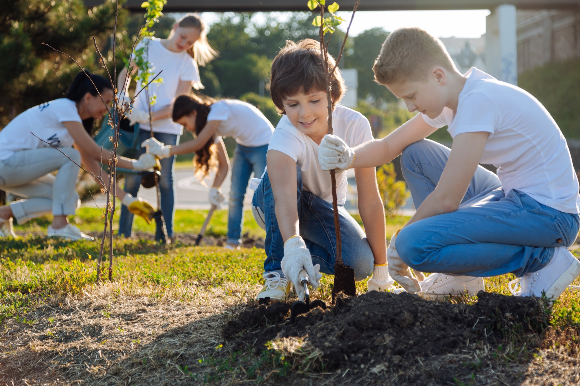 School children planting young fruit trees