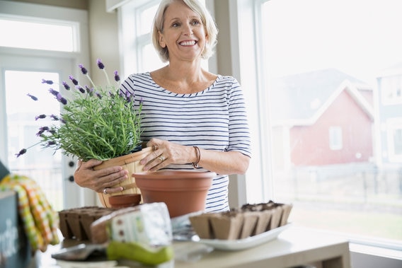 woman holding pot of lavender in kitchen
