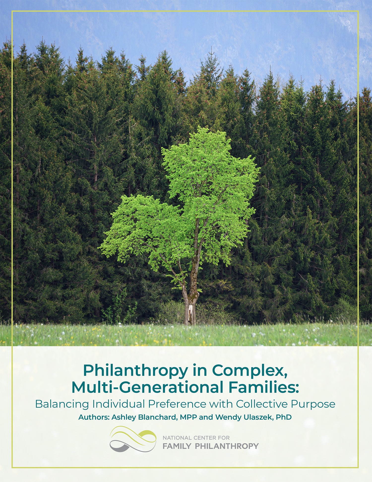Philanthropy in Complex, Multi-Generational Families cover
