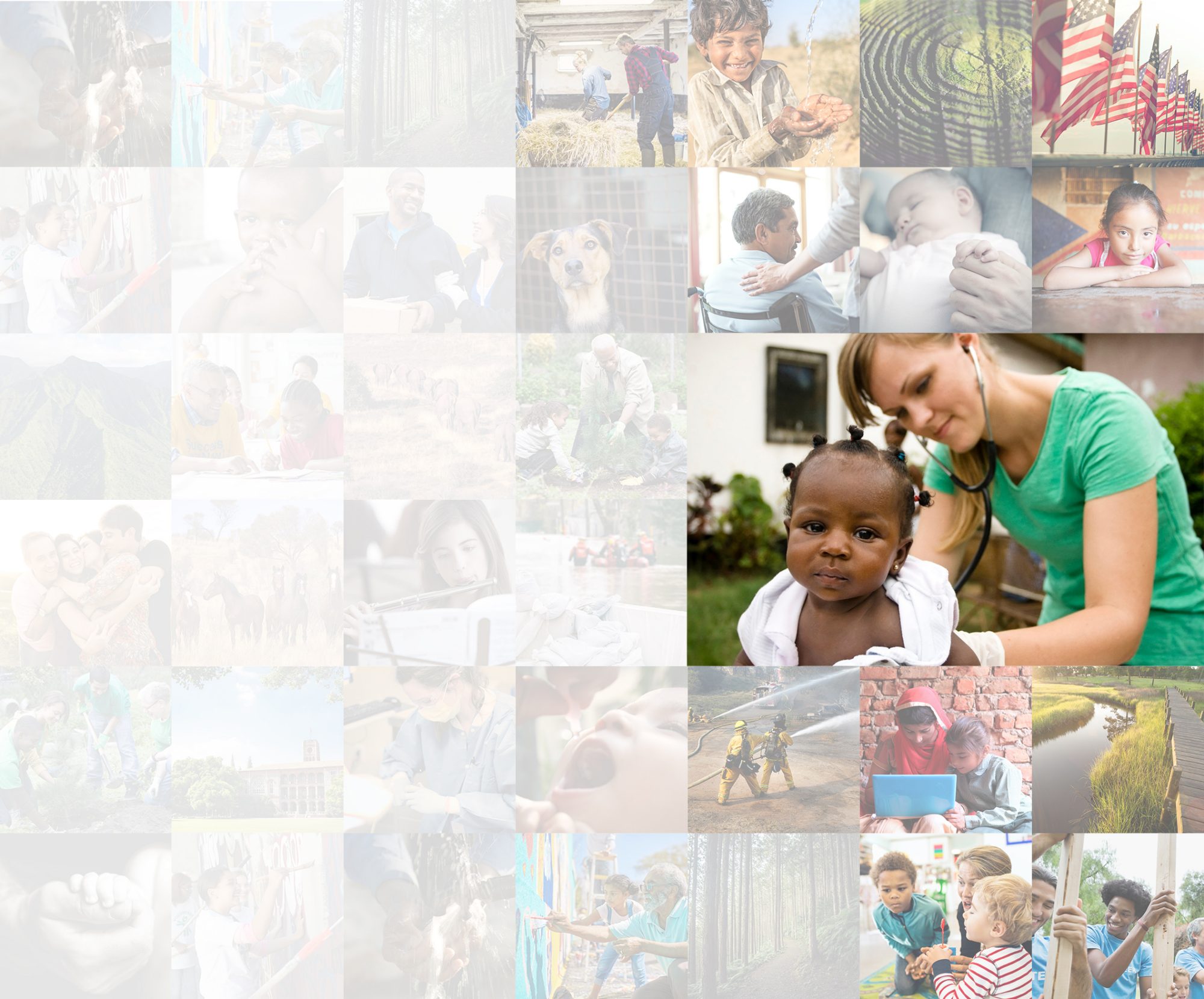 Fidelity Charitable donor advised fund