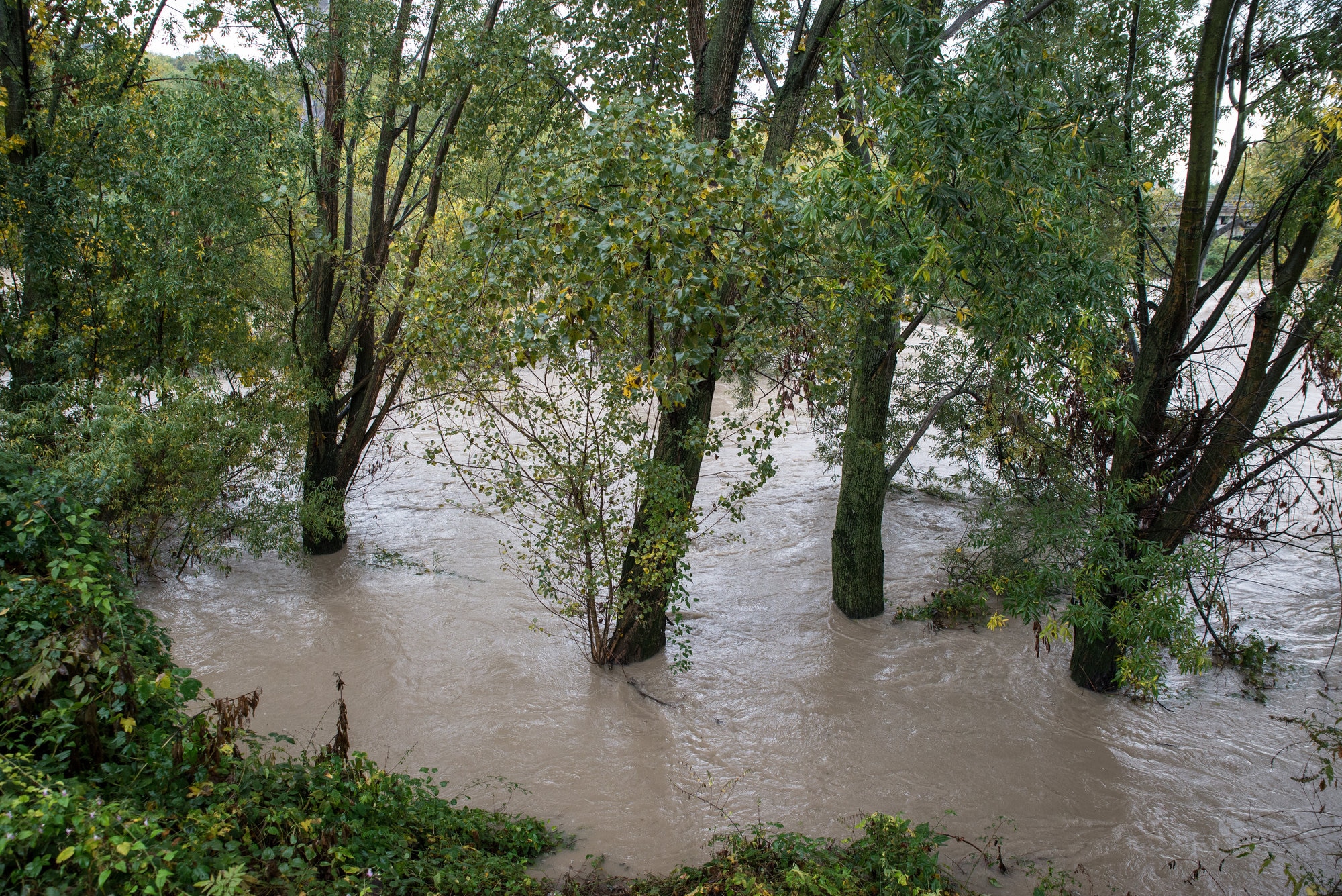 Flood, a river overflows after abundant rain