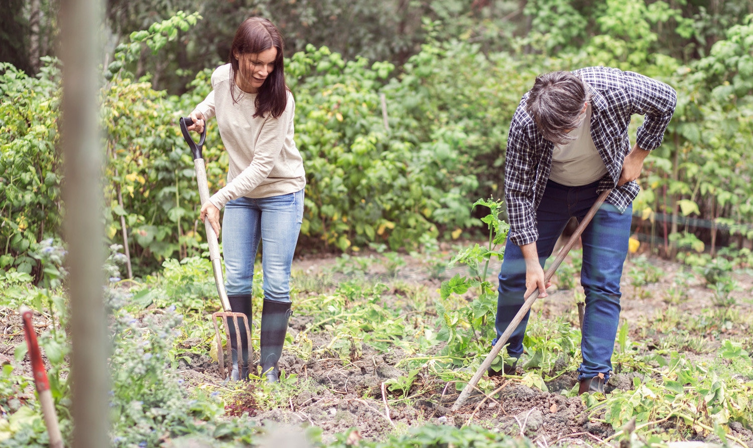 Couple working in a garden together.
