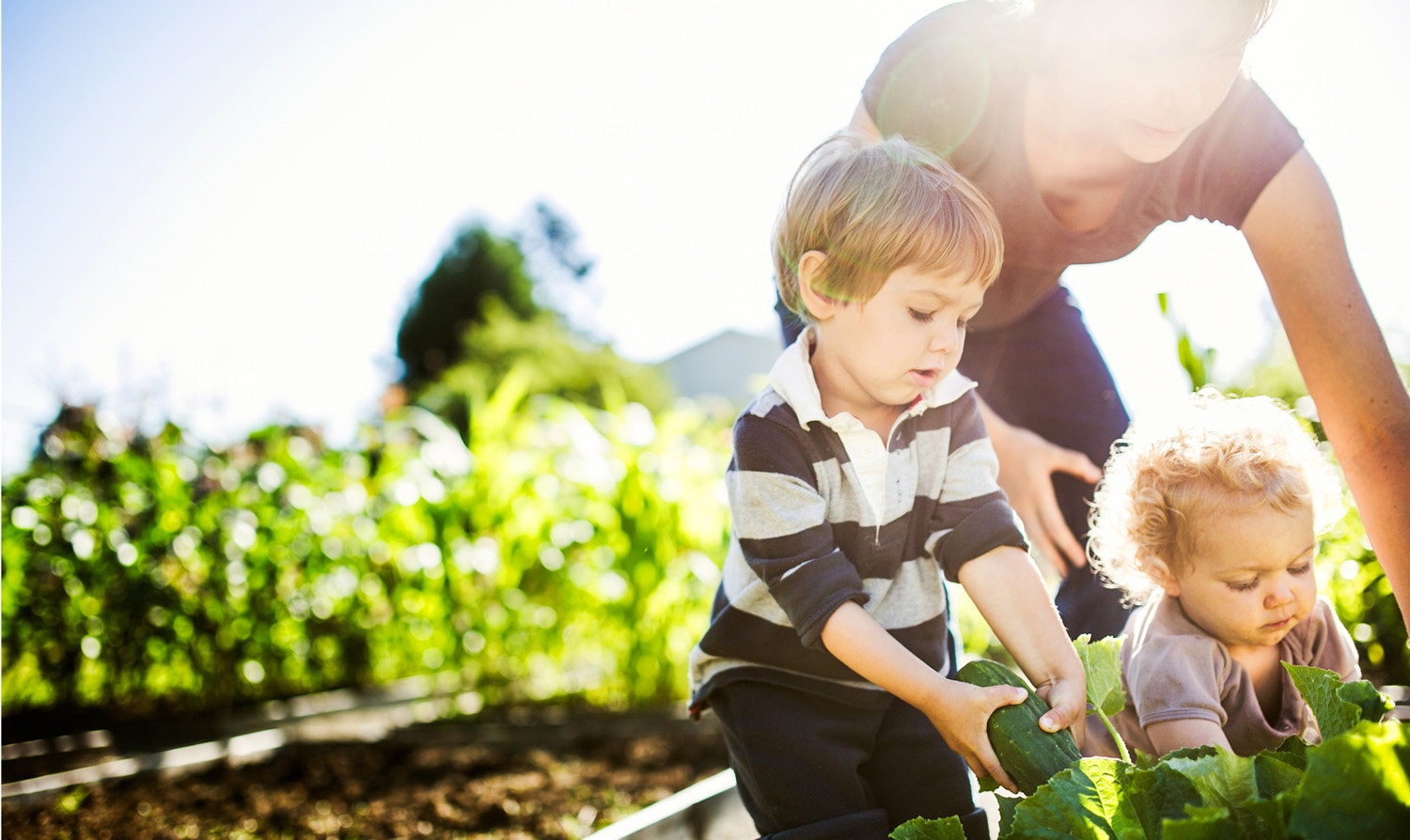Mom gardening with young children.