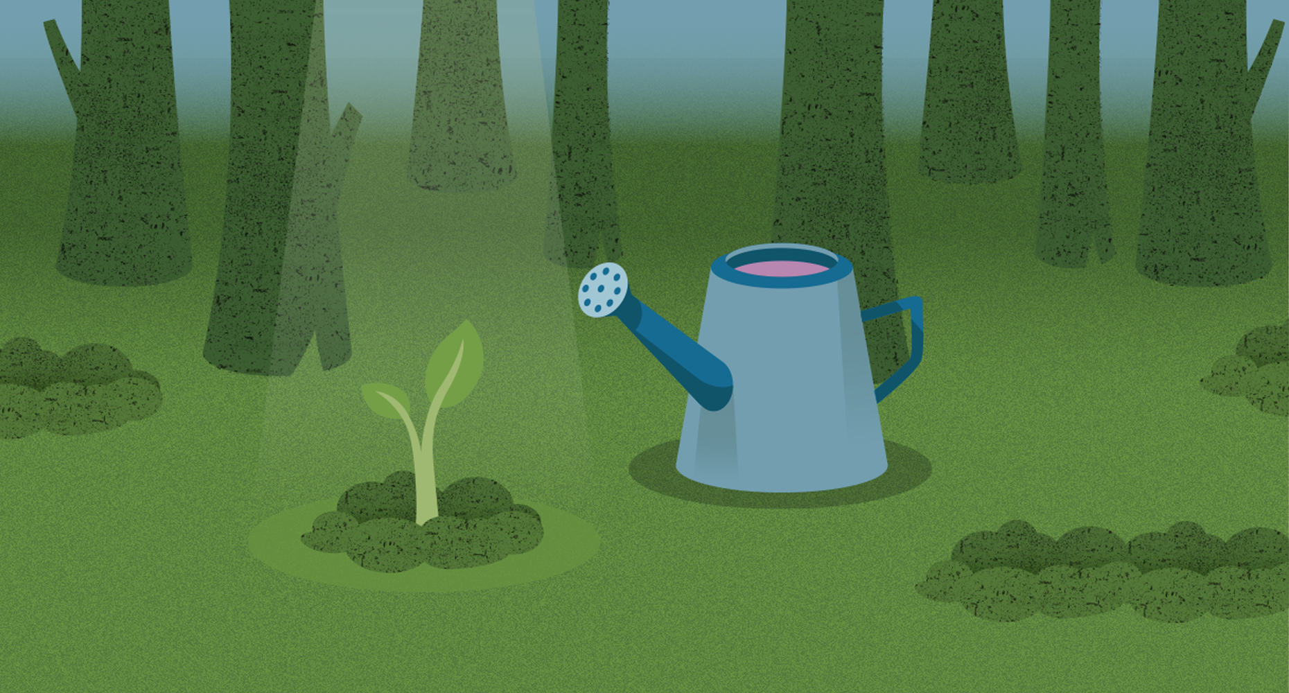 A seedling and a watering can representing the ability to grow the impact of your donations.